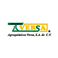 Nuestros clientes