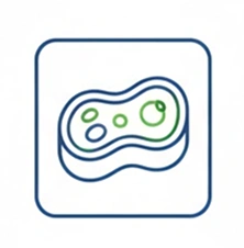 Carne cultivada